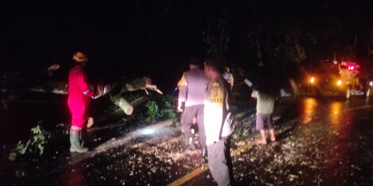 Personil Polsek Padangbai Bahu Membahu Evakuasi Pohon Tumbang di Jalan Raya Menuju Pelabuhan Padangbai