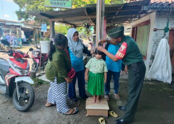 Dukung Program Balita Sehat, Babinsa Koramil Sutojayan Dampingi Kegiatan Posyandu