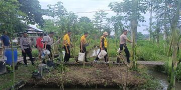 Ketahanan Pangan, Polsek Blahbatuh Tebar Ribuan Bibit Ikan Lele