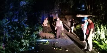 Atensi Kemacetan Lalu Lintas, Personil Polsek Bebandem Bersihkan Pohon Tumbang
