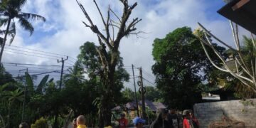 Sabtu Bersih, Anggota Polsek Abang Gotong-royong Bersihkan dan Potong Pohon Sudah Tua di Lingkungan Polsek