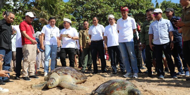 Jelang Hari Bhayangkara ke-77, Polda Bali Lepas Penyu