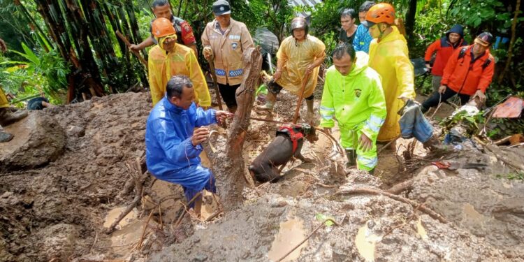 Bantu Korban Bencana Alam, Polda Bali Terjunkan Personel Samapta dan Brimob