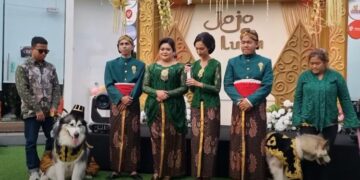 Kontroversi..! Pernikahan ANJING Ras Luna dan Jojo Mencetuskan Kecaman terhadap Nilai Budaya Nusantara