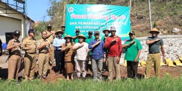 Panen Bawang Merah di Kelurahan Sidoharjo, Gunungkidul, Membuahkan Hasil yang Menjanjikan