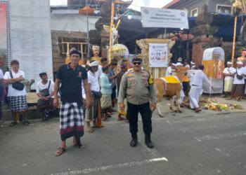 Sinergitas Sipandu Beradat Dalam Pengamanan Upacara Manusia Yadnya (Metatah Massal)
