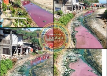 Pantai Drini Tercemar Limbah, Tantangan Serius untuk Menjadi Lingkungan Bersih