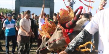 Kapolres Jembrana Saksikan Langsung Tradisi Lomba Makepung Bupati Cup 2023