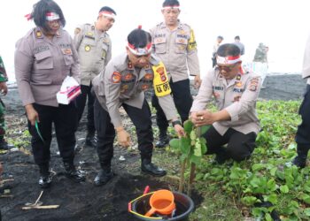 Bhakti Presisi Polri, Polres Gianyar Tanam Pohon Ketapang di Pantai Purnama Sukawati