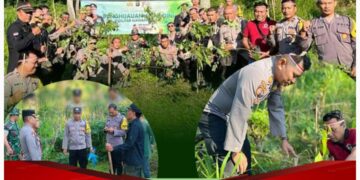 Polsek Rendang dan Bhayangkari Lestarikan Alam Peduli Lingkungan Dengan Melaksanakan Penghijauan