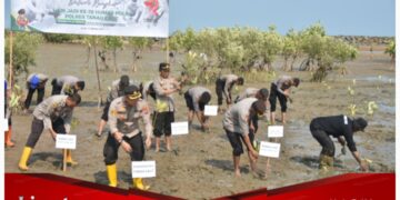 Penghijauan Polres Tanah Laut, Tanam Mangrove dalam Rangka Hari Ulang Tahun Ke-72 Humas Polri Tahun 2023