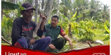 Cipkon Kamtibmas Aman, Babinsa Nusasari Tampung Aspirasi Warga