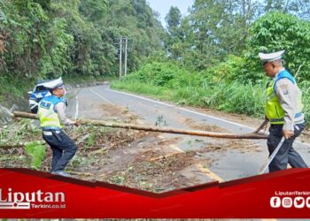 Pohon Tumbang Melintang di Jalan, Sat Lantas Polres Pakpak Bharat Gerak Cepat Evakuasi