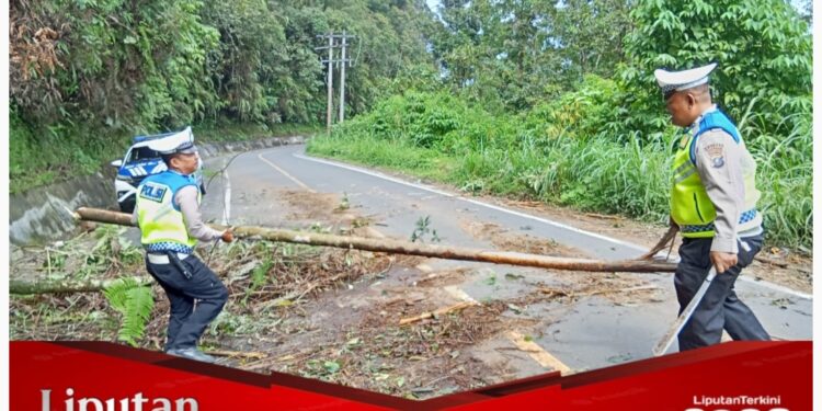 Pohon Tumbang Melintang di Jalan, Sat Lantas Polres Pakpak Bharat Gerak Cepat Evakuasi