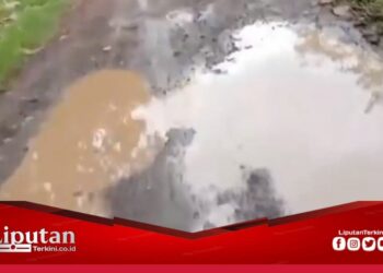 Keluhkan Jalan Rusak Bertahun-tahun, Masyarakat Paluagung Harapkan Perbaikan
