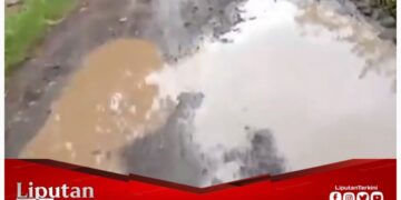 Keluhkan Jalan Rusak Bertahun-tahun, Masyarakat Paluagung Harapkan Perbaikan