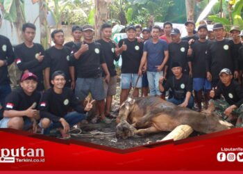 Sambut Idul Adha 1445 H, Jama’ah Mushola Al – Mukhtar Sembelih Hewan Qurban