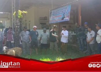 Sambut Idul Adha 1445 H, Relawan Ipuk Fiestiandani di Villa Gumuk Mas Muncar Sembelih Dua Ekor Kambing Kurban