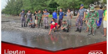 Sambut HUT TNI Ke-79, Koramil Kalipuro Laksanakan Karya Bhakti Pembersihan Sampah