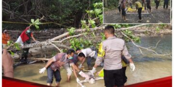 Misteri Kematian Wanita di Alas Purwo, Evakuasi Berjalan Lancar