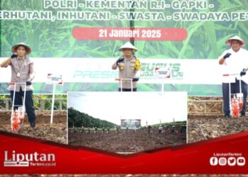 Upaya Wujudkan Ketahanan Pangan Nasional, Polda Jateng Tanam Bibit Jagung di 4.906 Hektar Lahan Pertanian