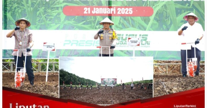 Upaya Wujudkan Ketahanan Pangan Nasional, Polda Jateng Tanam Bibit Jagung di 4.906 Hektar Lahan Pertanian
