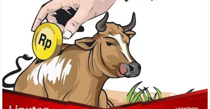 Diduga Pokir Anggota DPRD Tahun 2024 Raib di Dinas Peternakan Kabupaten Labuhanbatu