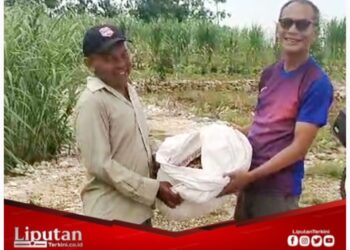 Panen Kacang Perdana di Semanu, Benyamin Sudarmadi Bagikan Hasil ke Warga