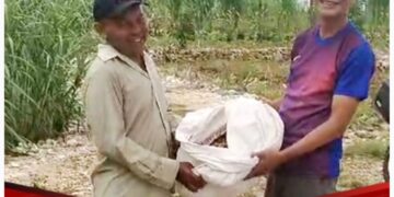 Panen Kacang Perdana di Semanu, Benyamin Sudarmadi Bagikan Hasil ke Warga