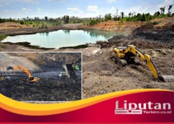 PETAWANGI Desak Banyuwangi Transparan dalam Tata Kelola Tambang Galian C