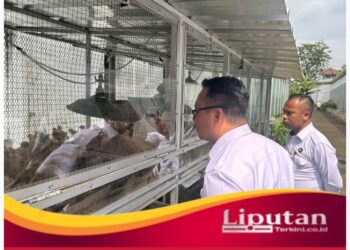 Lapas Kelas IIA Salemba Kembangkan Budidaya Ayam Kampung dengan Mesin Penetas